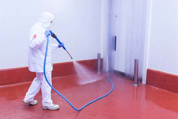 Best House Exterior Washing  in Glendora, NJ